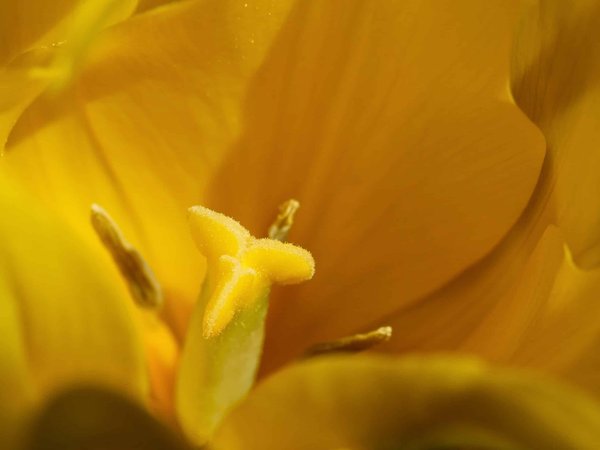 Explorez Coimbra en famille : les incontournables pour une immersion culturelle inoubliable !